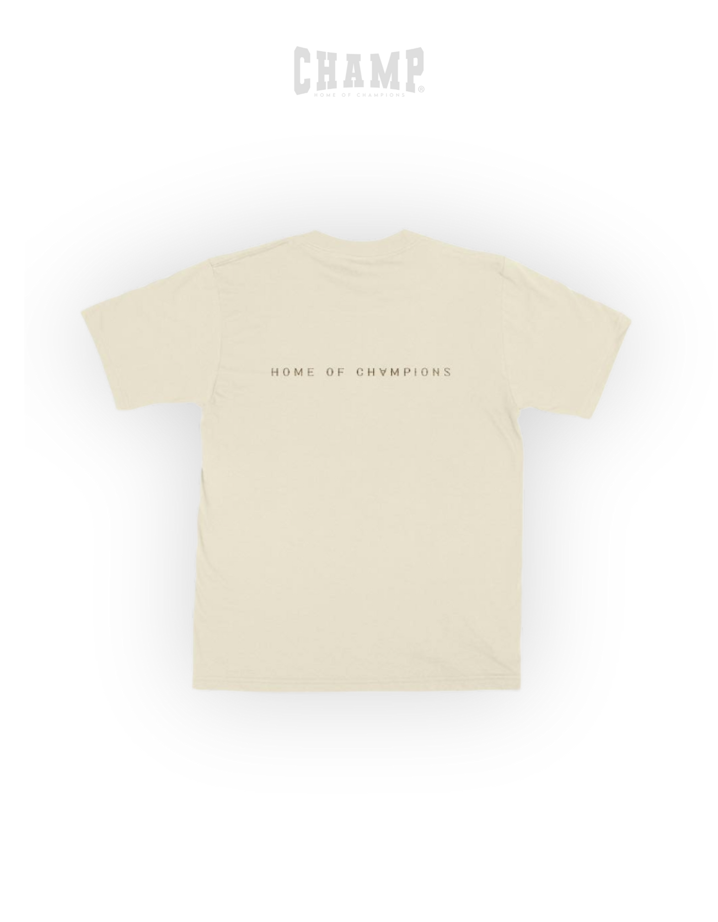 REVERSE GOSPEL ARC TEE